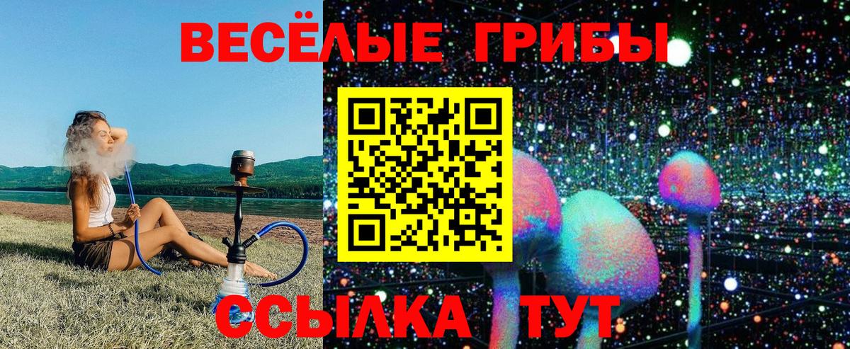 Псилоцибиновые грибы MAGIC MUSHROOMS Полысаево